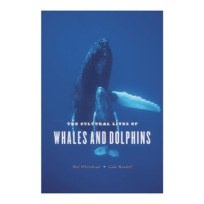 英文原版 The Cultural Lives of Whales and Dolphins 鲸鱼海豚有文化 探索海洋哺乳动物的社会与行为 生物学教授哈尔·怀特黑德