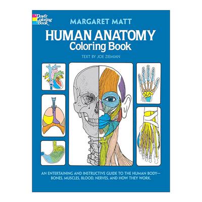 英文原版 Human Anatomy Coloring Book 儿童人体解剖涂色着色书 科普益智游戏活动书 英文版 进口英语原版书籍