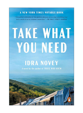 英文原版 Take What You Need 拿走你要的 女性小说 Idra Novey 英文版 进口英语原版书籍
