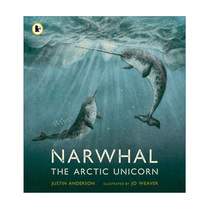 Narwhal: The Arctic Unicorn 独角鲸 北极独角兽进口原版英文书籍