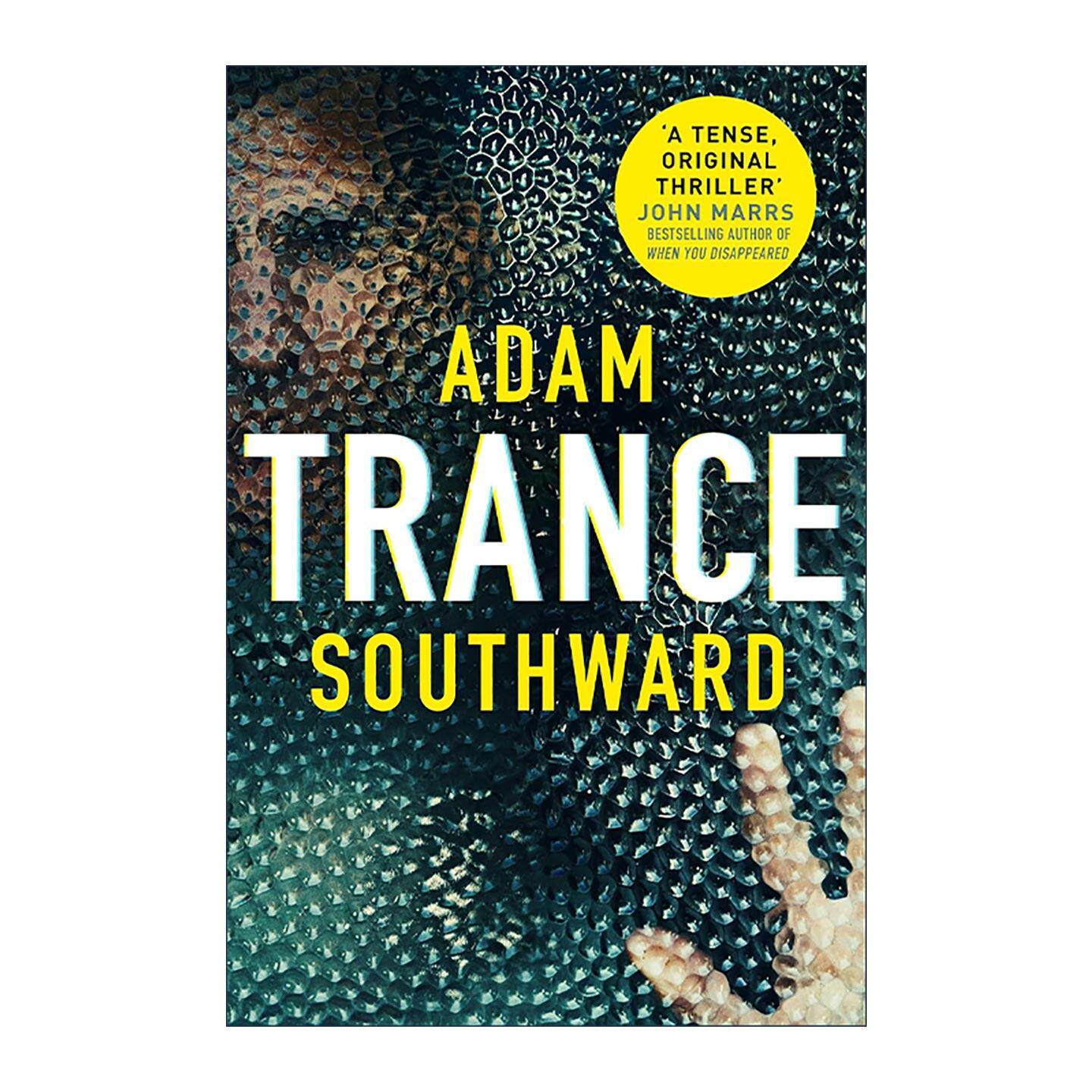 英文原版 Trance 催眠 畅销心理惊悚小说 精装 Adam Southward 英文版 进口英语原版书籍