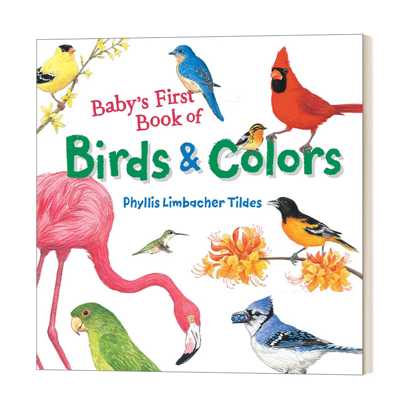 英文原版 Baby's First Book of Birds& Colors宝宝的第一本关于鸟类与颜色的书幼儿儿童科普绘本纸板书英文版进口英语书籍