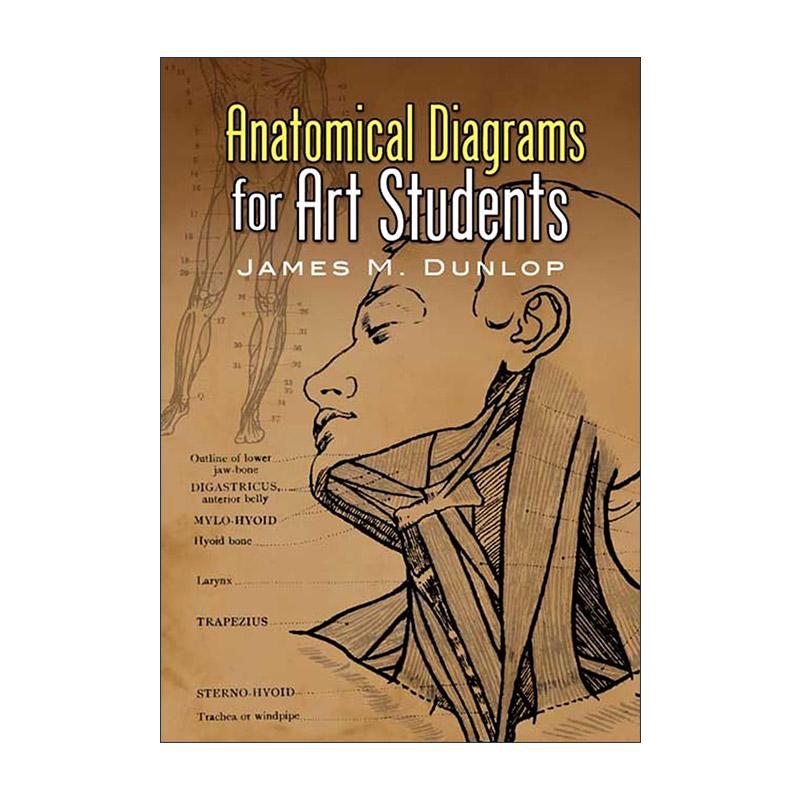 英文原版 Anatomical Diagrams for Art Students 给艺术生的解剖图 绘画实用插图指南 人体骨骼与肌肉 英文版 进口英语原版书籍