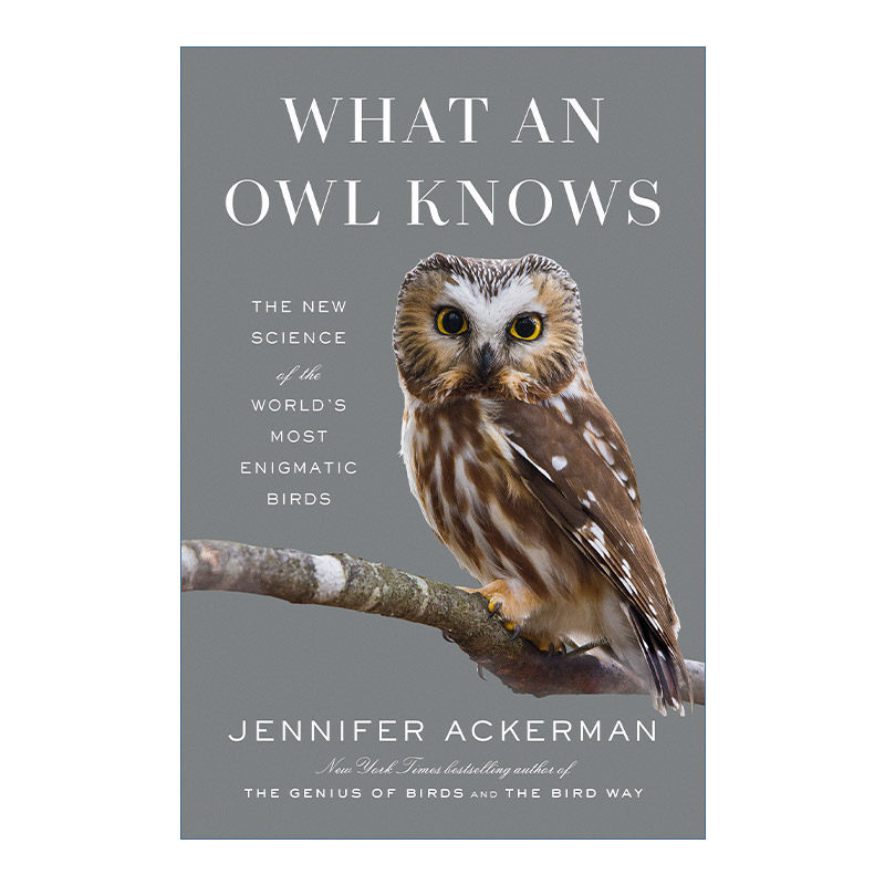英文原版 What an Owl Knows 猫头鹰所知道的 世界上神秘的鸟类新科学 鸟类的天赋作者Jennifer Ackerman 精装 进口英语原版书籍