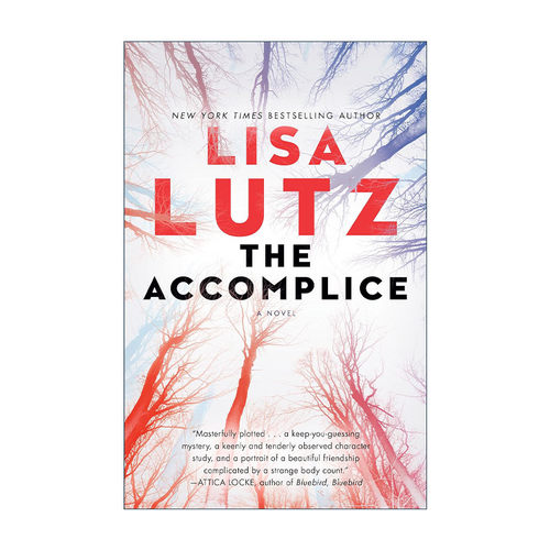 英文原版 The Accomplice 帮凶 斯家侦探档案作者Lisa Lutz英文版 进口英语原版书籍
