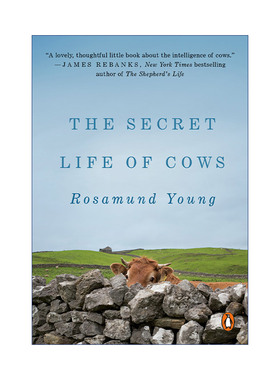 英文原版 The Secret Life of Cows 奶牛的秘密生活 有机农业 动物养殖与情感探索 Rosamund Young 英文版 进口英语原版书籍