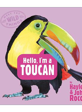 英文原版 Hello  I'm a Toucan Meet the Wild Things 05 你好 我是巨嘴鸟 遇见野生动物系列5 儿童精装科普百科绘本 凯迪克银奖