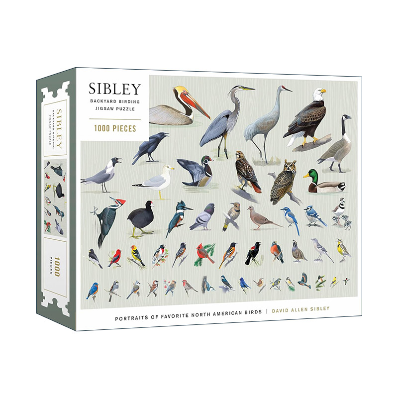 英文原版 Sibley Backyard Birding Puzzle 西布利后院观鸟拼图 1000片 受欢迎的北美鸟类 英文版 进口英语原版书籍