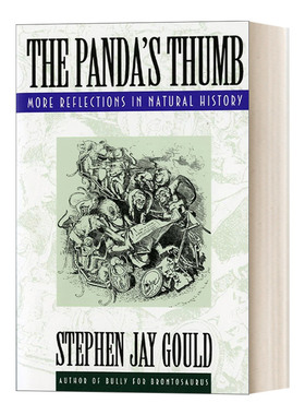 英文原版 The Panda's Thumb 熊猫的拇指 自然史中的更多思考 古尔德Stephen Jay Gould 英文版 进口英语原版书籍