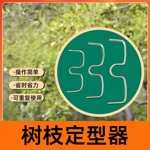树枝定型器果树拉枝器别枝器背上枝侧枝拉枝定型器果树压枝器拉枝