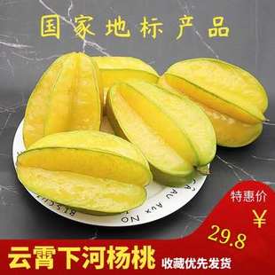 大果4.5斤顺丰包邮下河杨桃新鲜水果应季现摘红龙洋桃水果特产