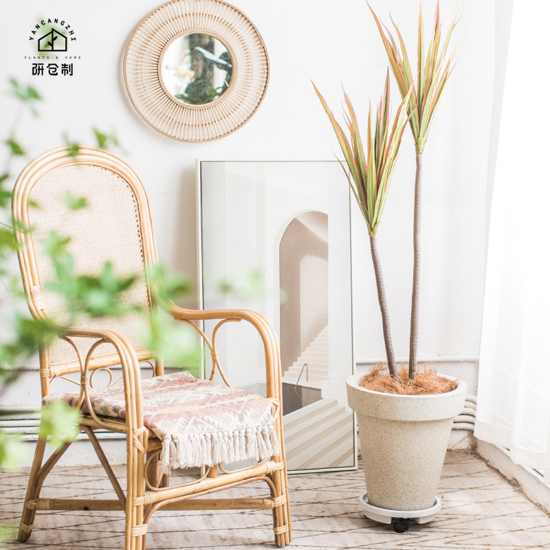 研仓制 新款ins北欧简约落地室内阳台龟背竹发财树红陶大花盆包邮