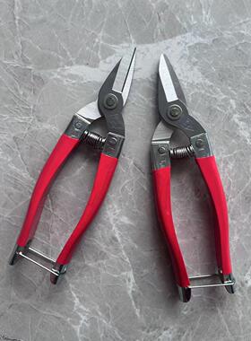 修枝剪修花剪刀枝剪采果园艺家用柑橘桔子刀剪葡萄专用圆头小嘴