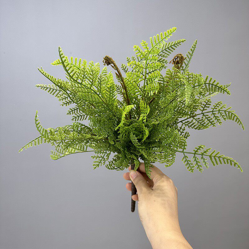 仿真蕨叶排草蕨类波斯草植物蕨叶蕨草植物墙波斯叶鱼尾蕨仿真草