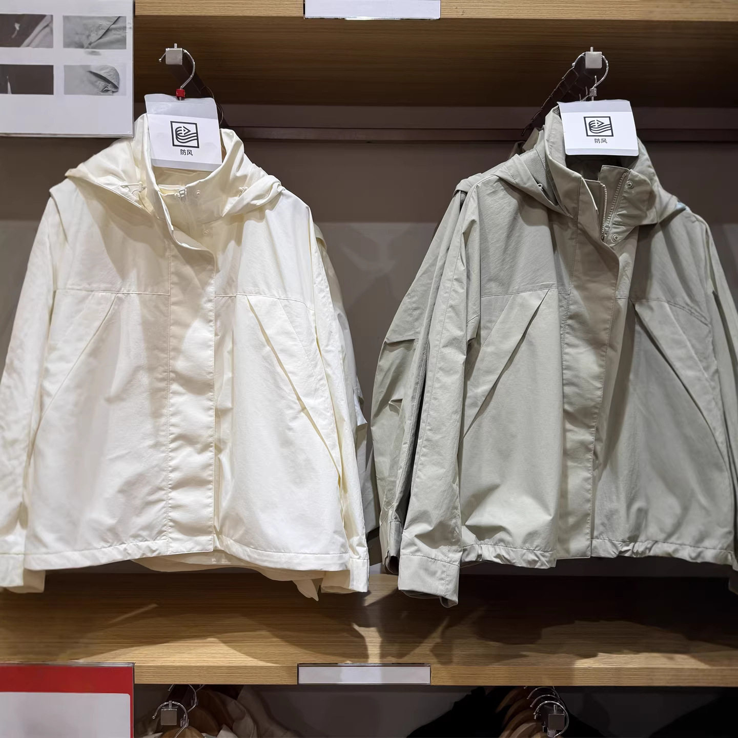 女装防风立领茄克/外套夹克连帽冲锋衣休闲宽松短上衣春款A484709图片