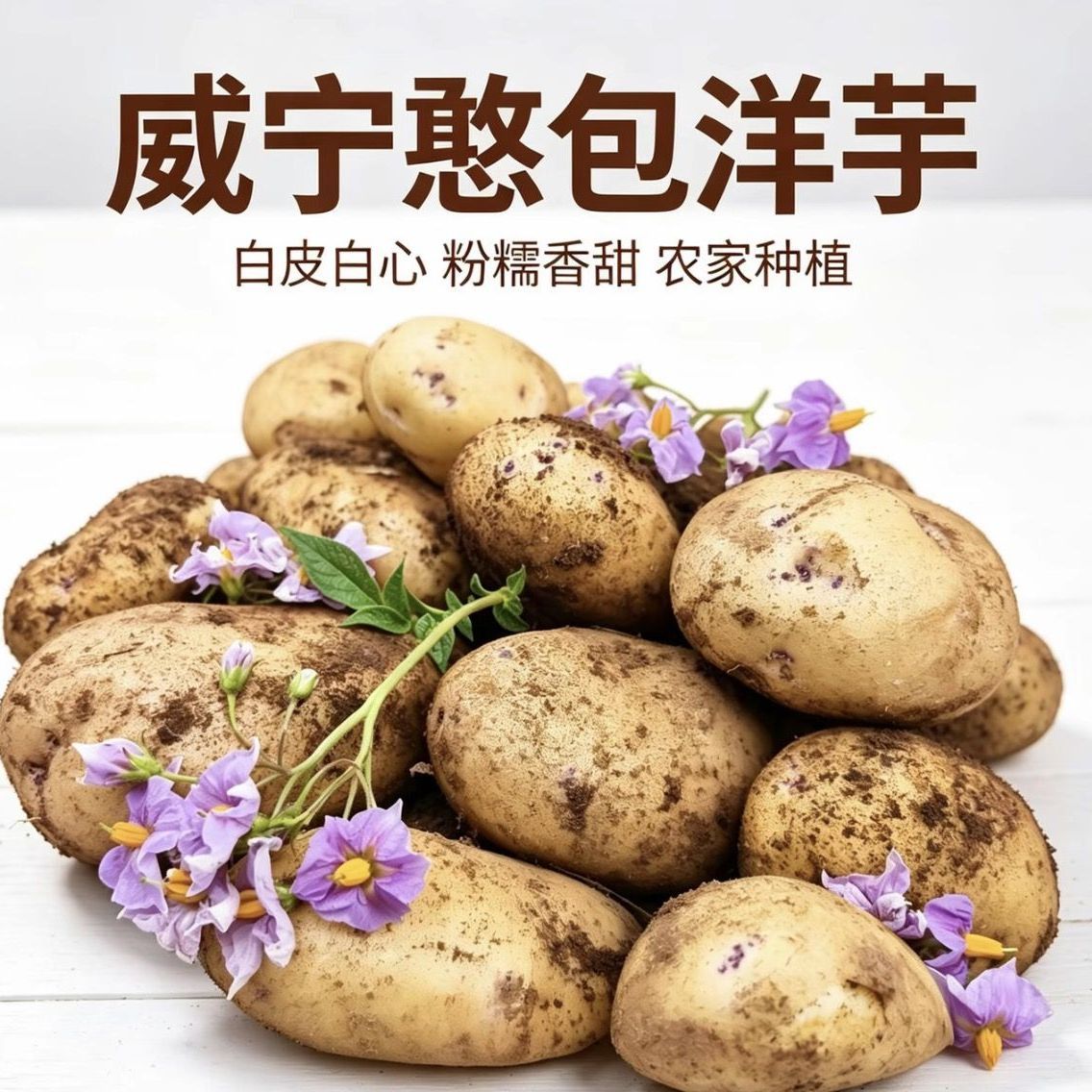 正宗威宁洋芋高山农家自种憨包洋芋面包洋芋黄皮白心红皮洋芋粉果