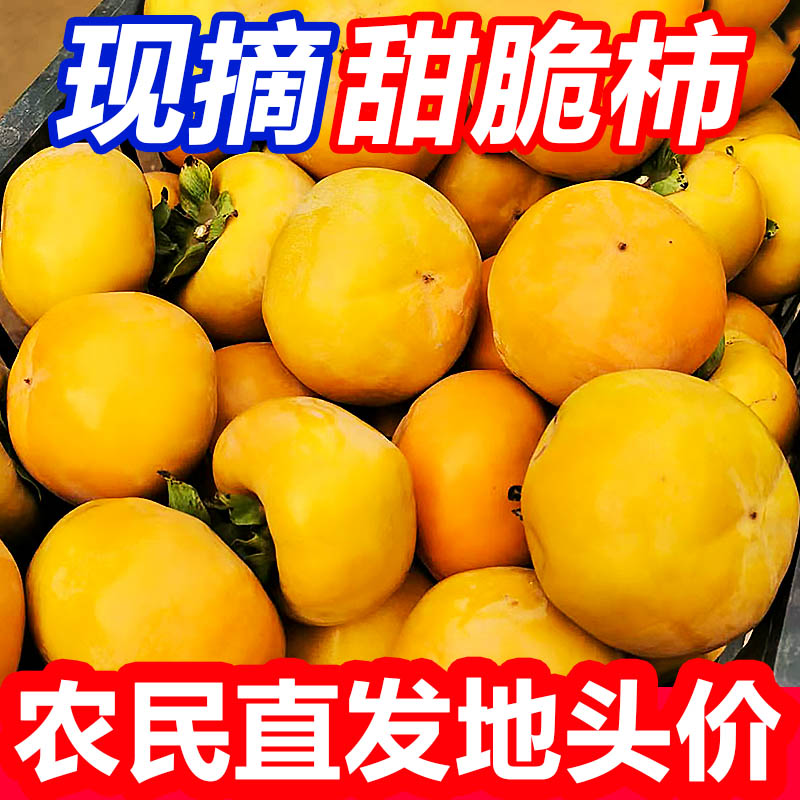 甜脆柿农户果园现摘现发