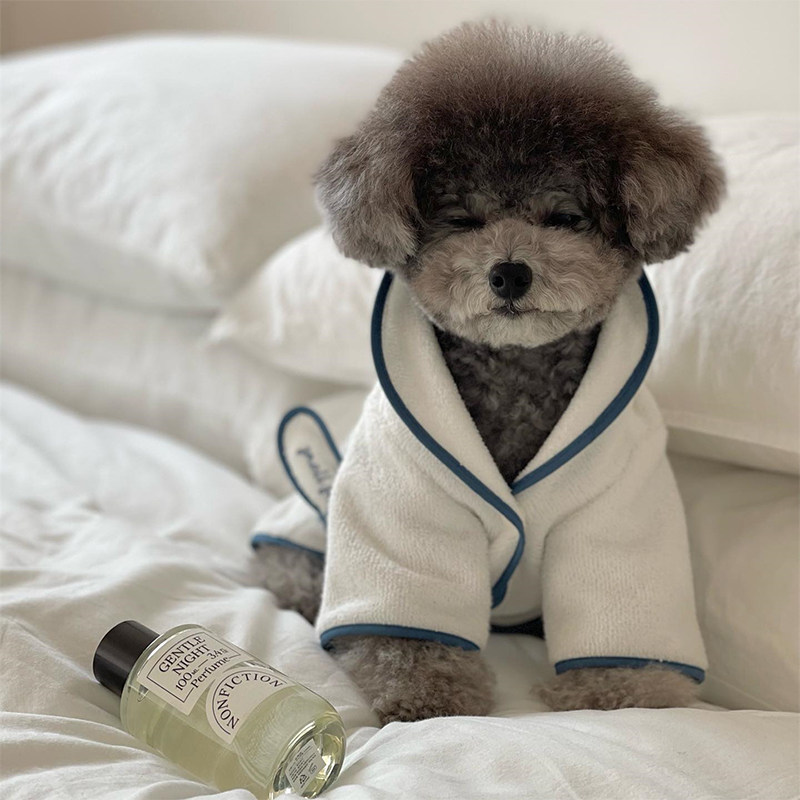 狗狗猫咪珊瑚绒睡衣吸水
