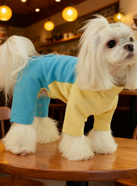 空气棉护肚保暖狗狗四脚衣拼色泰迪比熊雪纳瑞马尔济斯打底连体衣