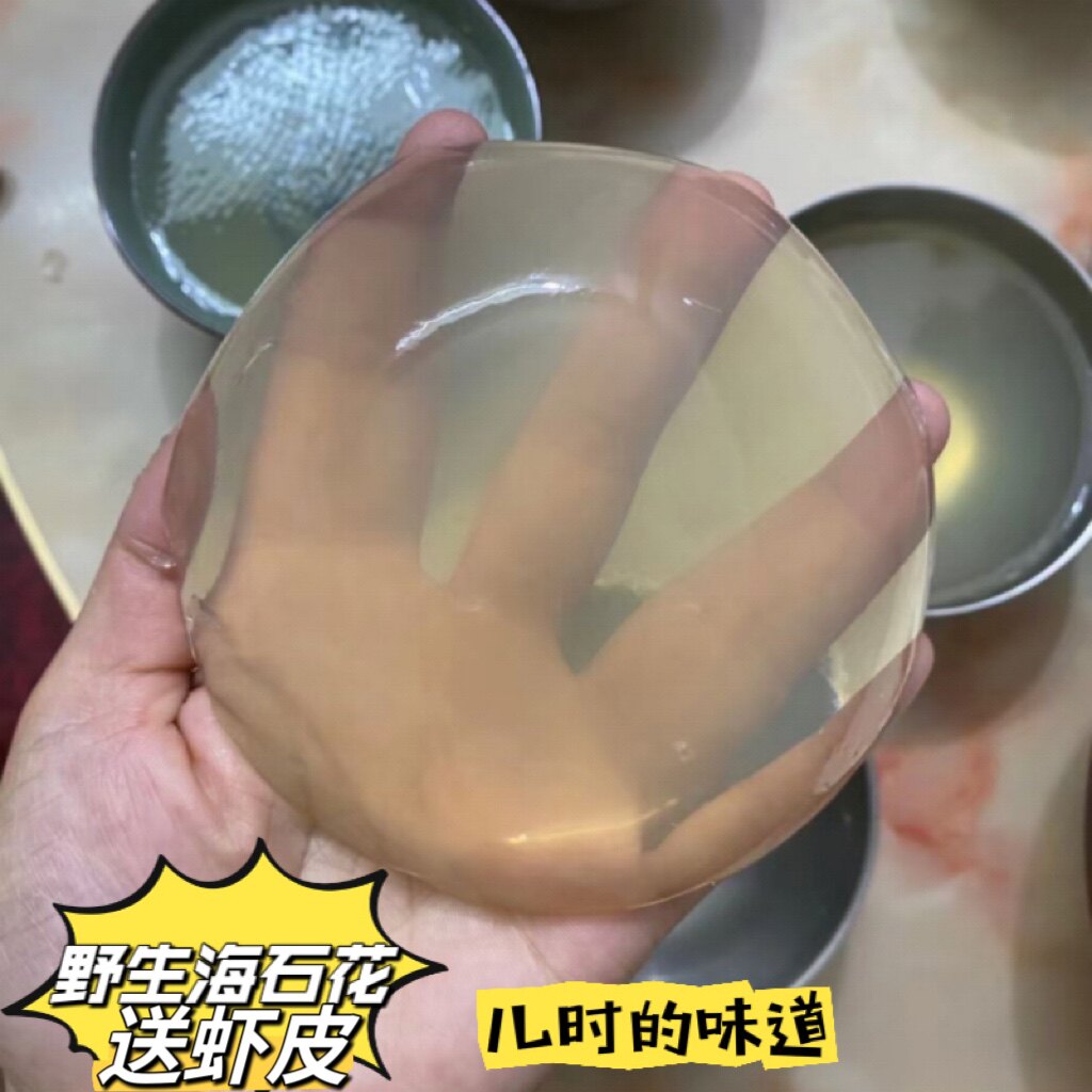 南澳岛深海野海石花草果冻石花菜海带