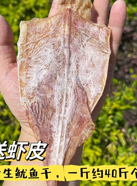 南澳鱿鱼干烧烤专用芥末手撕淡干A1A2A3A4A5碳烤大小尤鱼干货商用