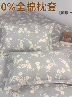 全棉枕套加厚磨毛一对装30x50儿童40x60cm成人纯棉100枕头套秋冬