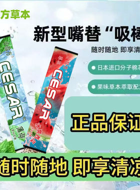 小盐方草本果味吸棒清新嘴替代品清凉草本吸棒清凉便携不限场合