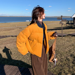 复古简约风立领短款羽绒服女2025新款小个子超好看连帽外套面包服图片