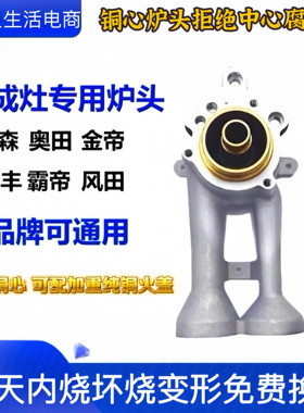 集成灶燃气灶炉头配件底座分火器
