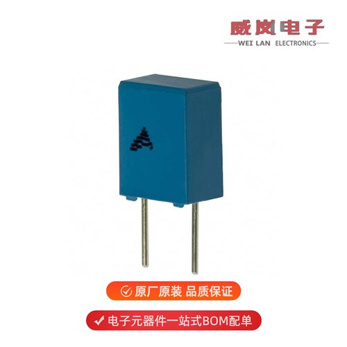 B32529C0105J289|B32529C0105K000|B32529C0105J000原装