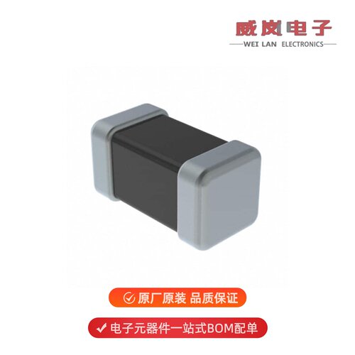 FBMH1608HM101-T|FBMH1608HM101-TV|FBMH1608HL121-TV原装