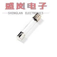 原装正品0313008.HXP[保险丝管 250V 8A Slo-Blo]