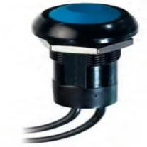 原装正品IPR1SAD2L0G[按钮 Latching actn pshbtn