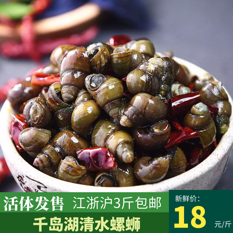千岛湖清水螺蛳活体河螺鲜活500g 江浙沪皖3斤包邮