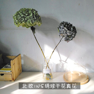 绣球干花真花永生花家居摆设店铺吊顶干花橱窗装 饰云南基地直发