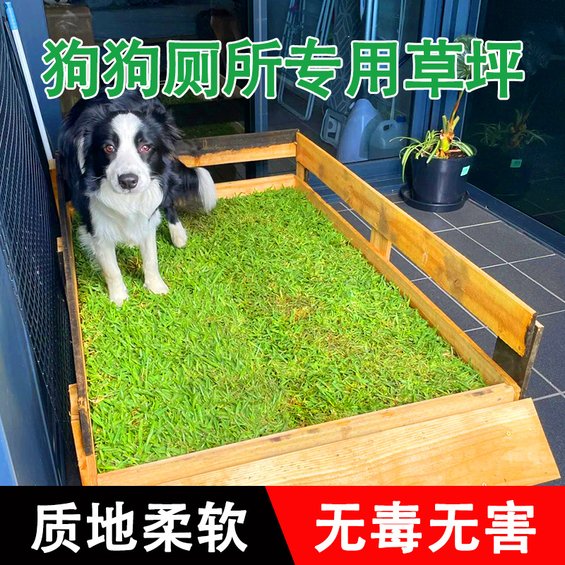 狗狗草坪厕所仿真人造绿色假草皮