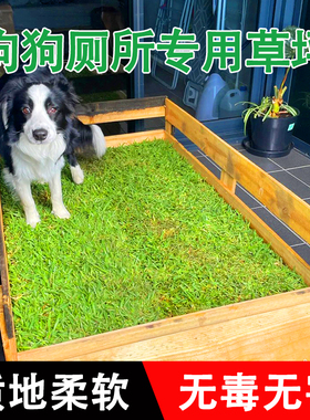 狗狗草坪厕所仿真人造假草皮人工绿色塑料铺垫室内地毯专用草地垫