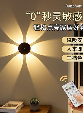 花朵人体感应壁灯充电遥控