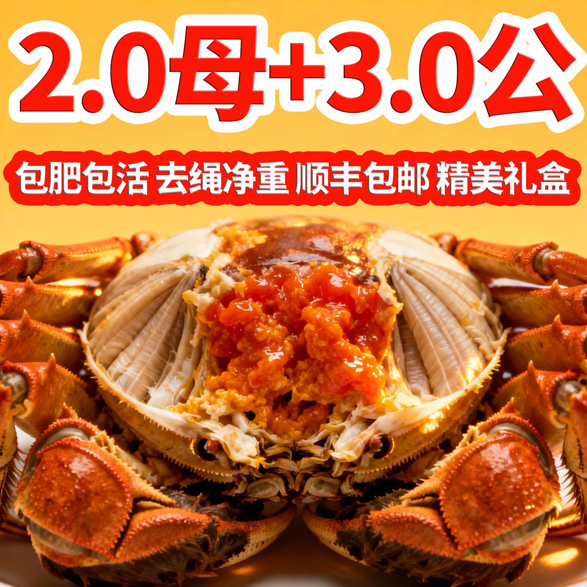 【春节不打烊】活蟹2.0两母3.0两公洪泽湖大闸蟹鲜活螃蟹10只礼盒