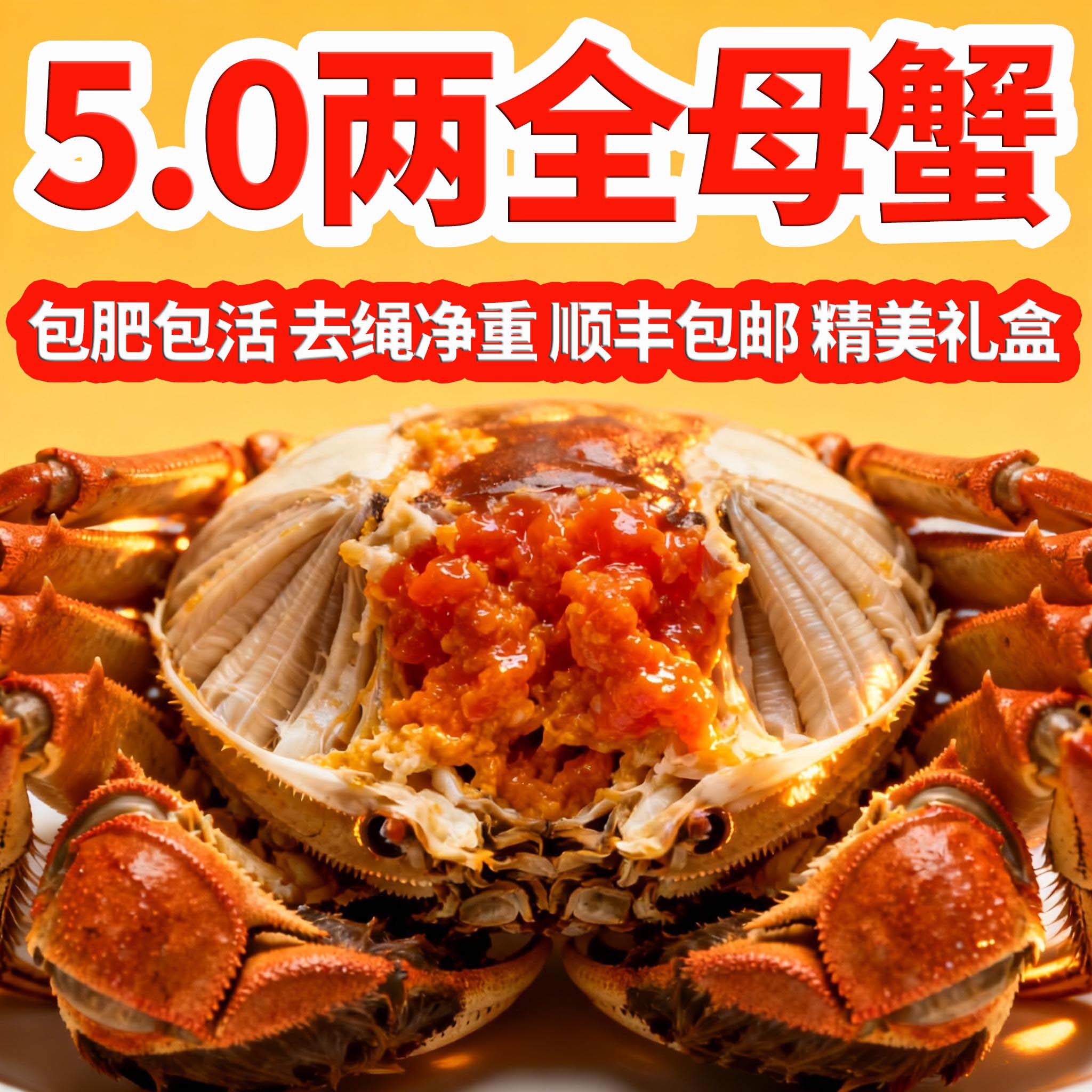【春节不打烊】活蟹5.0两全母洪泽湖大闸蟹鲜活江苏螃蟹10只礼盒