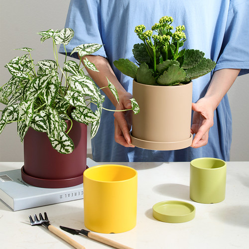 陶瓷花盆绿萝蝴蝶兰多肉北欧简约大号创意个性兰花绿萝室内带托盘