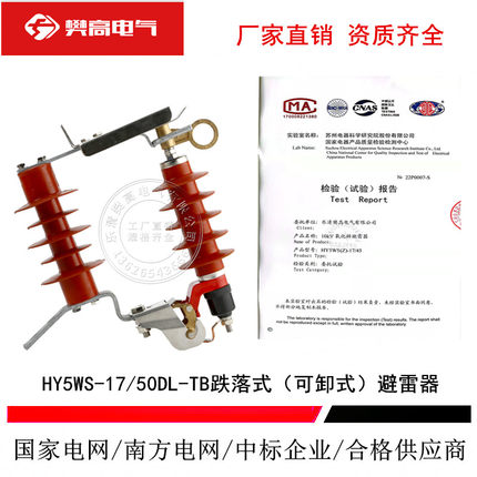 可卸式避雷器HY5WS-17/50DL-TB跌落式避雷器10KV带脱离器导线支架