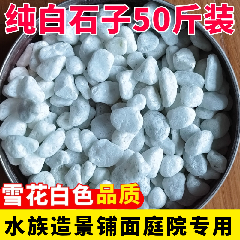 50斤装白色石子石头大鹅卵石庭院铺路铺地小白石头造景景观白石子