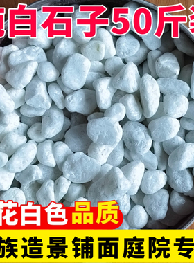 50斤装白色石子石头大鹅卵石庭院铺路铺地小白石头造景景观白石子
