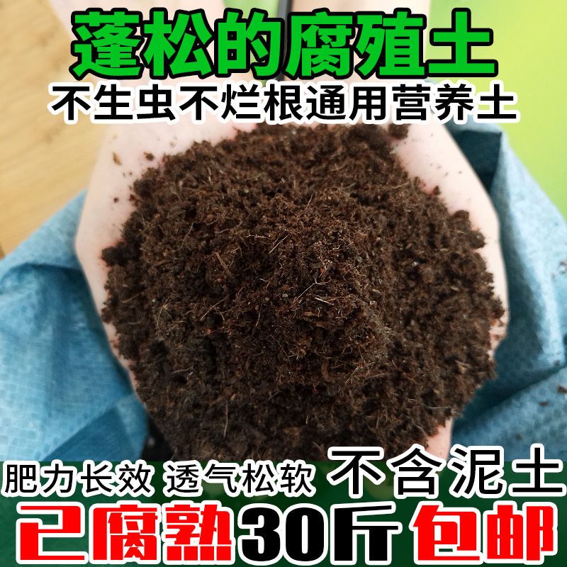 腐熟松针腐殖土腐叶土多肉绿萝营养土种菜通用黑土通用型椰糠椰土