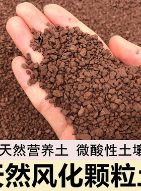 小叶簕竹土勒竹专用土风化土种竹子土红土酸性盆景土种植土营养土