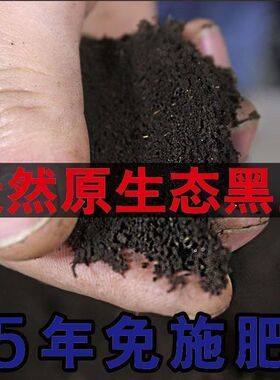 黑土高原天然有机泥土营养种菜养花种花育苗黑色土免施肥腐殖土
