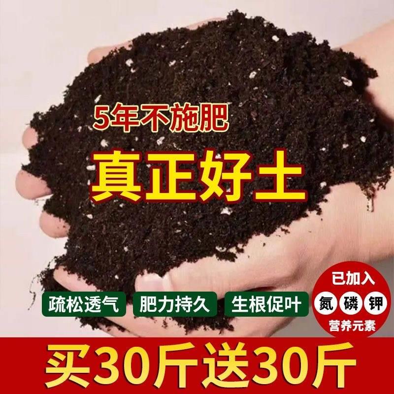 营养土种菜花斤大包绿植