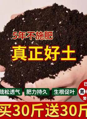 营养土种菜花斤大包绿植