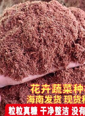 海南纯椰糠土免泡养花种菜绿植通用泥炭土椰砖土花土酸性营养土壤